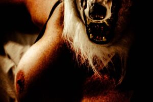 Muse - The Wolf Muse - The Wolf