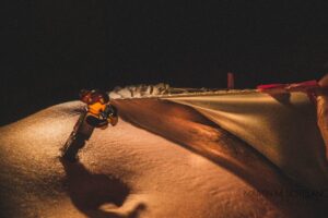 Adentures of a Lego tog and his muse