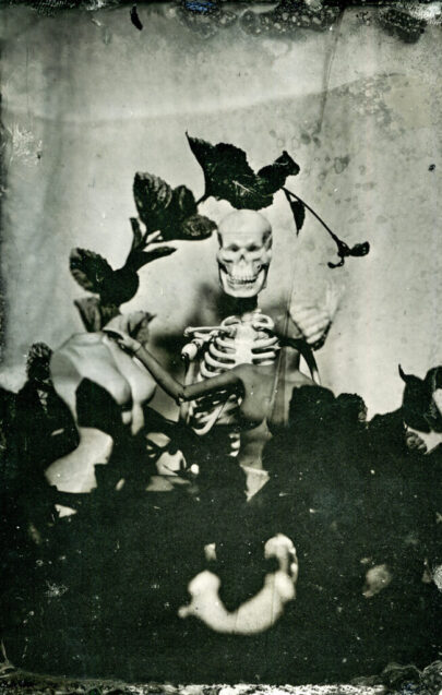 Still Life