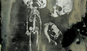 Morbitorium - Oddities Museum
