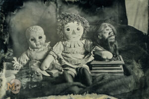 Morbitorium - Oddities Museum Morbitorium - Oddities Museum